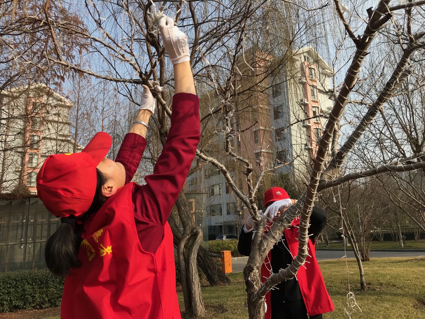 三和實(shí)業(yè)黨支部開展“學(xué)雷鋒 講奉獻(xiàn)”志愿服務(wù)活動